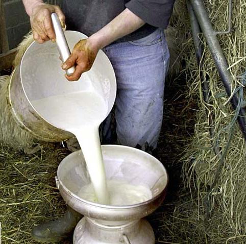 Milk farmers